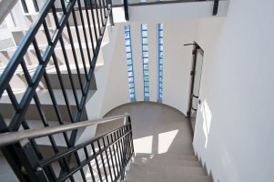 zdjęcie Mosina Park