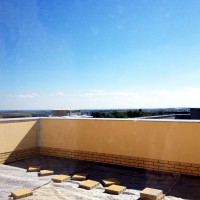 zdjęcie Jasień Park