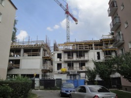 zdjęcie Białowieska 16