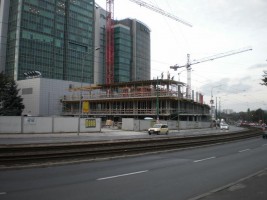 Rafał Leja