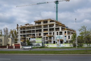 zdjęcie MintCity