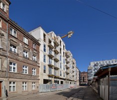 zdjęcie Ptasia 7