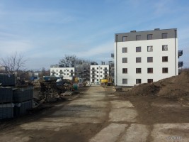 zdjęcie Alsecco Kusocińskiego
