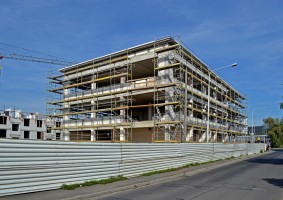 zdjęcie Szkocka Point