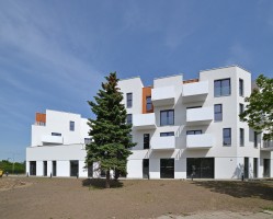 zdjęcie Bacciarellego 54