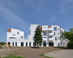 zdjęcie Bacciarellego 54