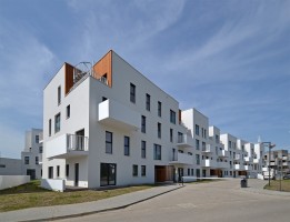 zdjęcie Bacciarellego 54