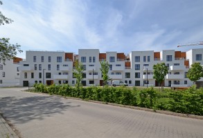 zdjęcie Bacciarellego 54