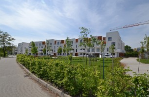 zdjęcie Bacciarellego 54