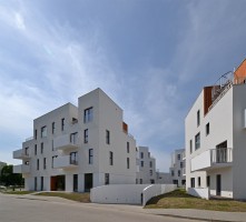 zdjęcie Bacciarellego 54