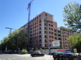 zdjęcie Zielony Żoliborz