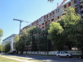 zdjęcie Zielony Żoliborz