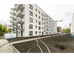 etap III