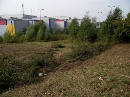 przygotowywanie działki pod inwestycję