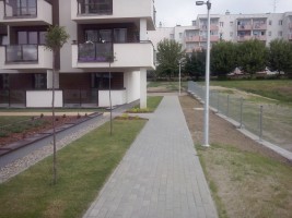 zdjęcie Lawendowe Wzgórza