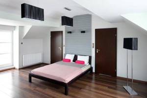 zdjęcie Saskie Zacisze