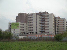 zdjęcie Tarasy Dionizosa