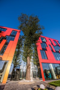 zdjęcie Biurowiec Tree House Office