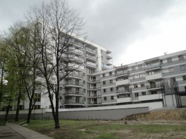 zdjęcie Staffa 9