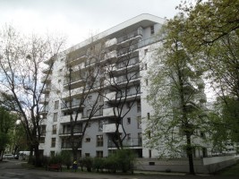 zdjęcie Staffa 9