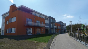 zdjęcie Wróbla Staw