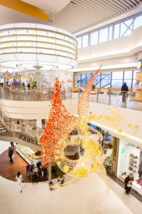 zdjęcie Auchan Bronowice