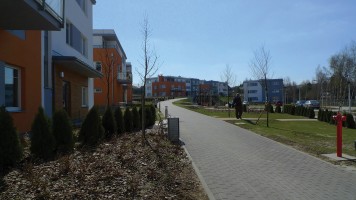 zdjęcie Wróbla Staw