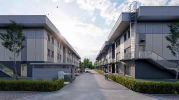 zdjęcie Paszkowskiego/Pękowicka