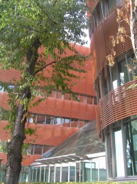 zdjęcie WSM