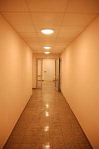 zdjęcie Lipowa 21