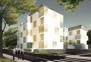 zdjęcie Złota 19