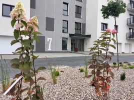 zdjęcie Nowe Okrzei