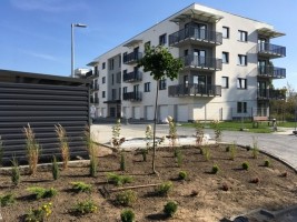 zdjęcie Nowe Okrzei