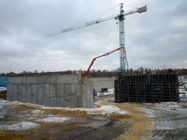 zdjęcie Słoneczna Dąbrowa