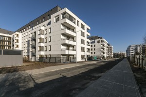 zdjęcie Polanka Niemena