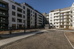 zdjęcie Polanka Niemena