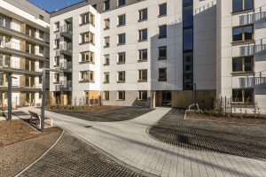 zdjęcie Polanka Niemena