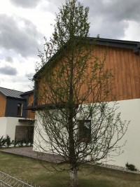 zdjęcie Nowe Zarabie