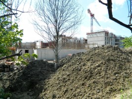 zdjęcie Konopnicka City Park