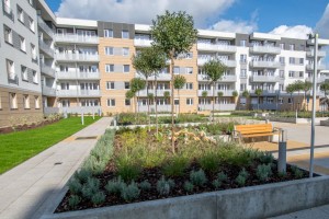 zdjęcie Lokum di Trevi