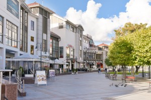 zdjęcie Centrum Haffnera