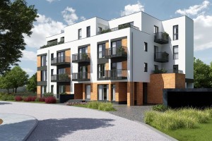 zdjęcie z budowy Międzylesie przy lesie