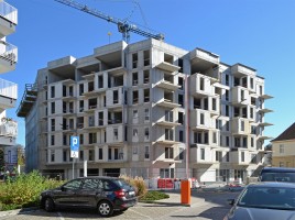 zdjęcie Kępa Mieszczańska II