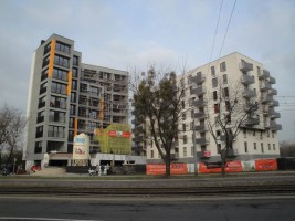 zdjęcie Pomarańczarnia