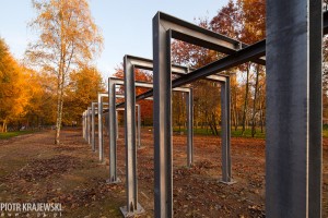zdjęcie Park Przygodna