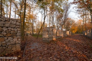 zdjęcie Park Przygodna