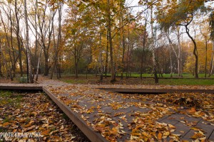 zdjęcie Park Przygodna