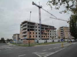 zdjęcie Conrada 3