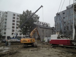 zdjęcie EQ2