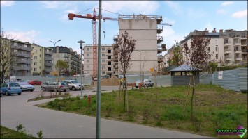 zdjęcie Kusocińskiego 2